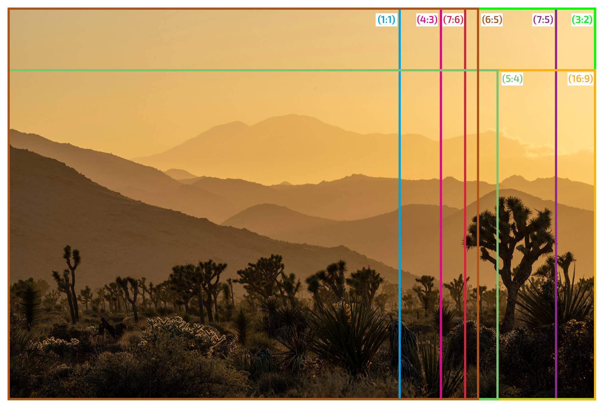Aspect+Ratios+Horizontal.jpg