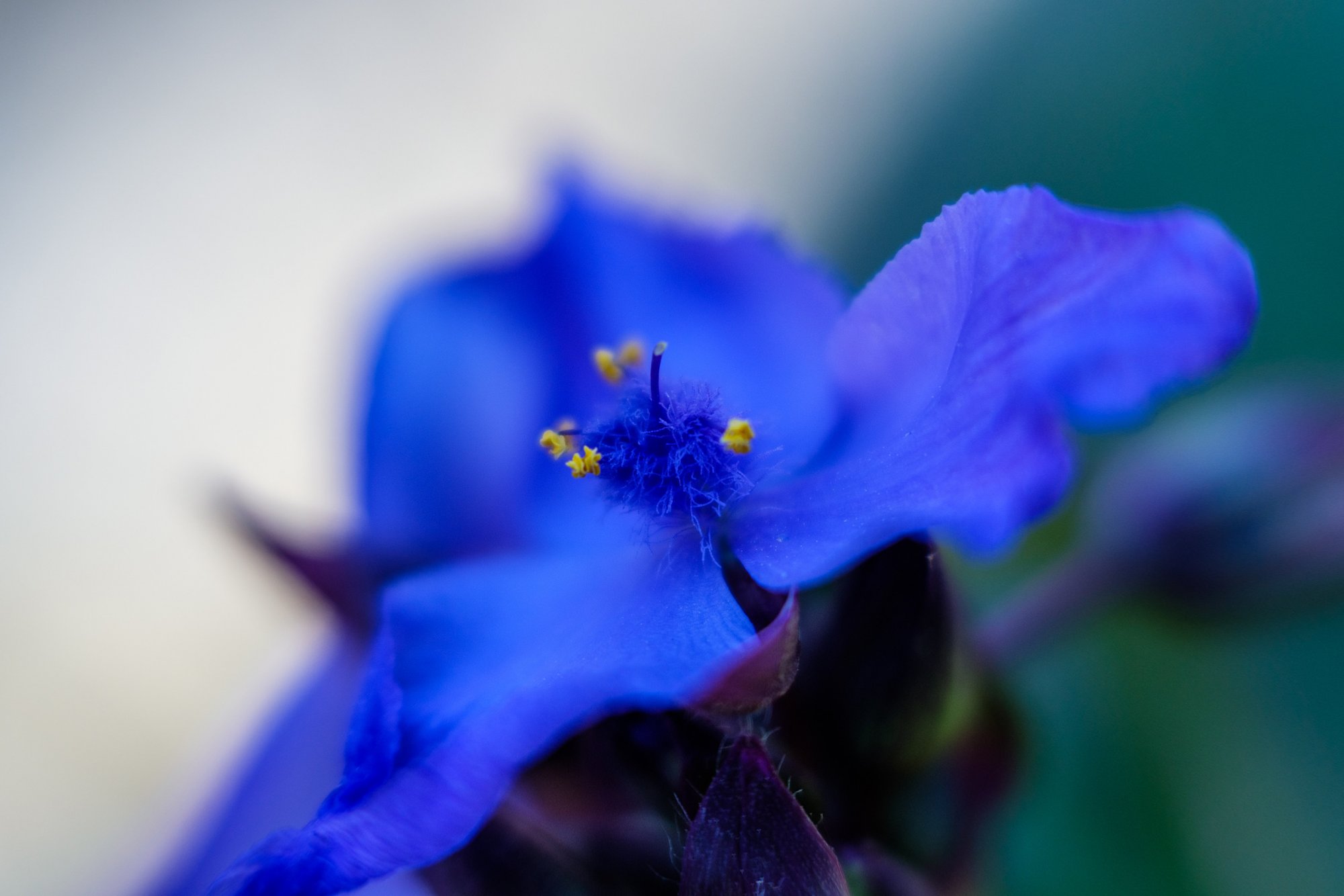 B0212930-CB7D-4BFA-9040-A6769B9D607D.jpeg