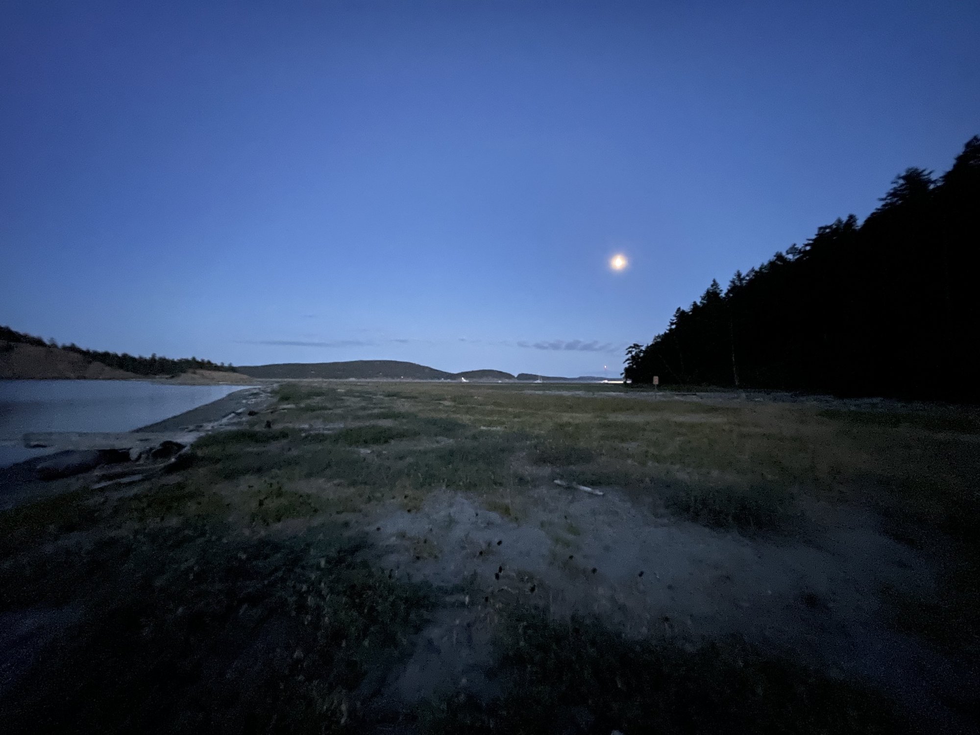 B1D3509D-E994-4110-B963-53BB25CF7A5C.jpeg