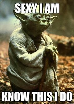 b27b09ca1b1abb4913bc83fba6d365d4--yoda-speak-yoda-funny.jpg