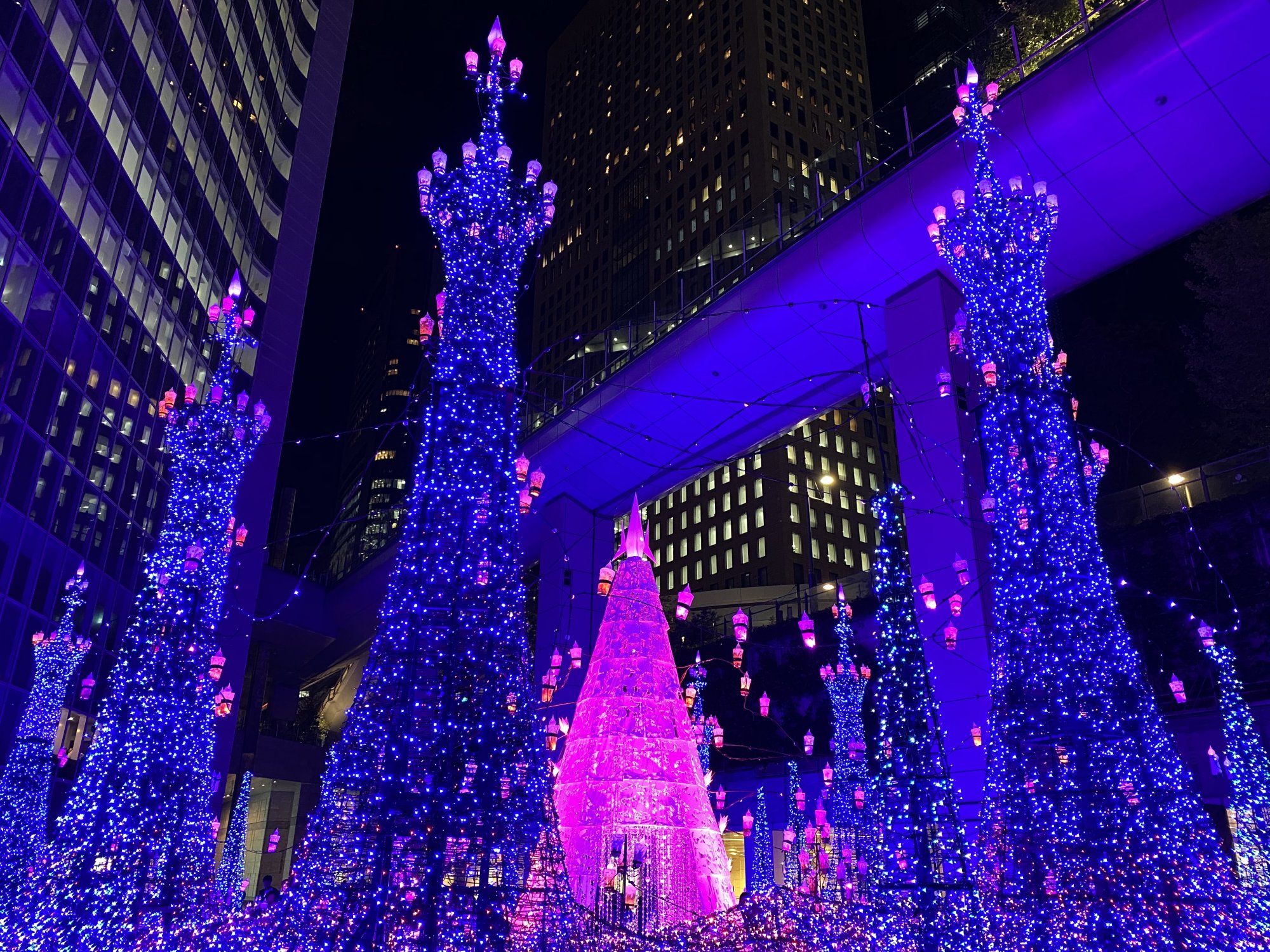 B346083F-2934-4002-9CE9-26F6F193E4AA.jpeg