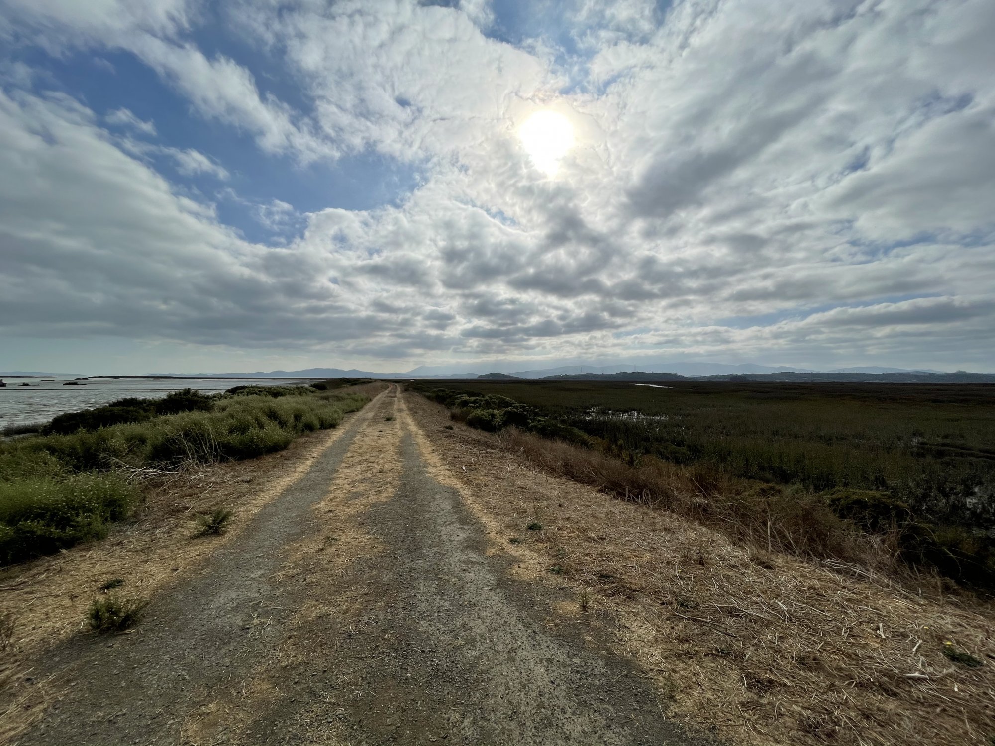 B5794198-00A0-4D2C-ADD7-8A5D8D33906C.jpeg