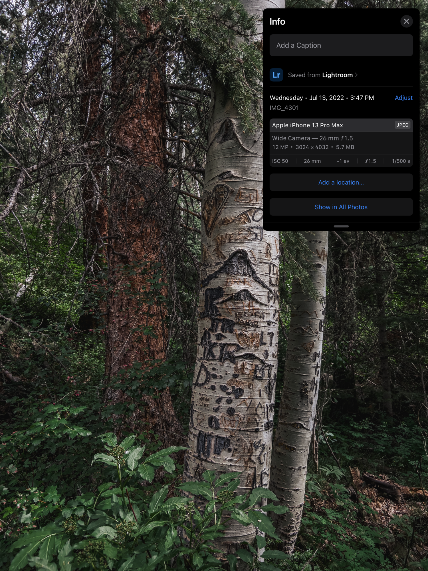 BA5FD341-E2FD-454C-8803-6E8D528471CB.png