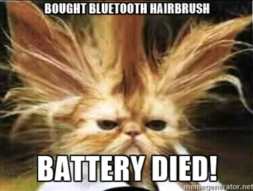 Bad Hair Cat.png