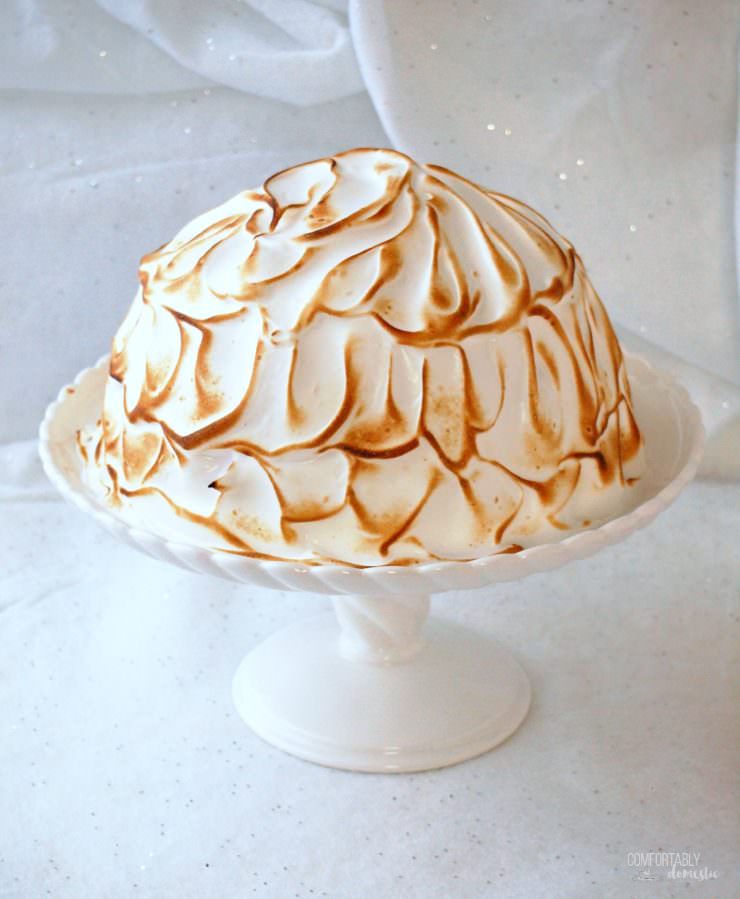 Baked-Alaska-Toasted-Whole-740x899.jpg