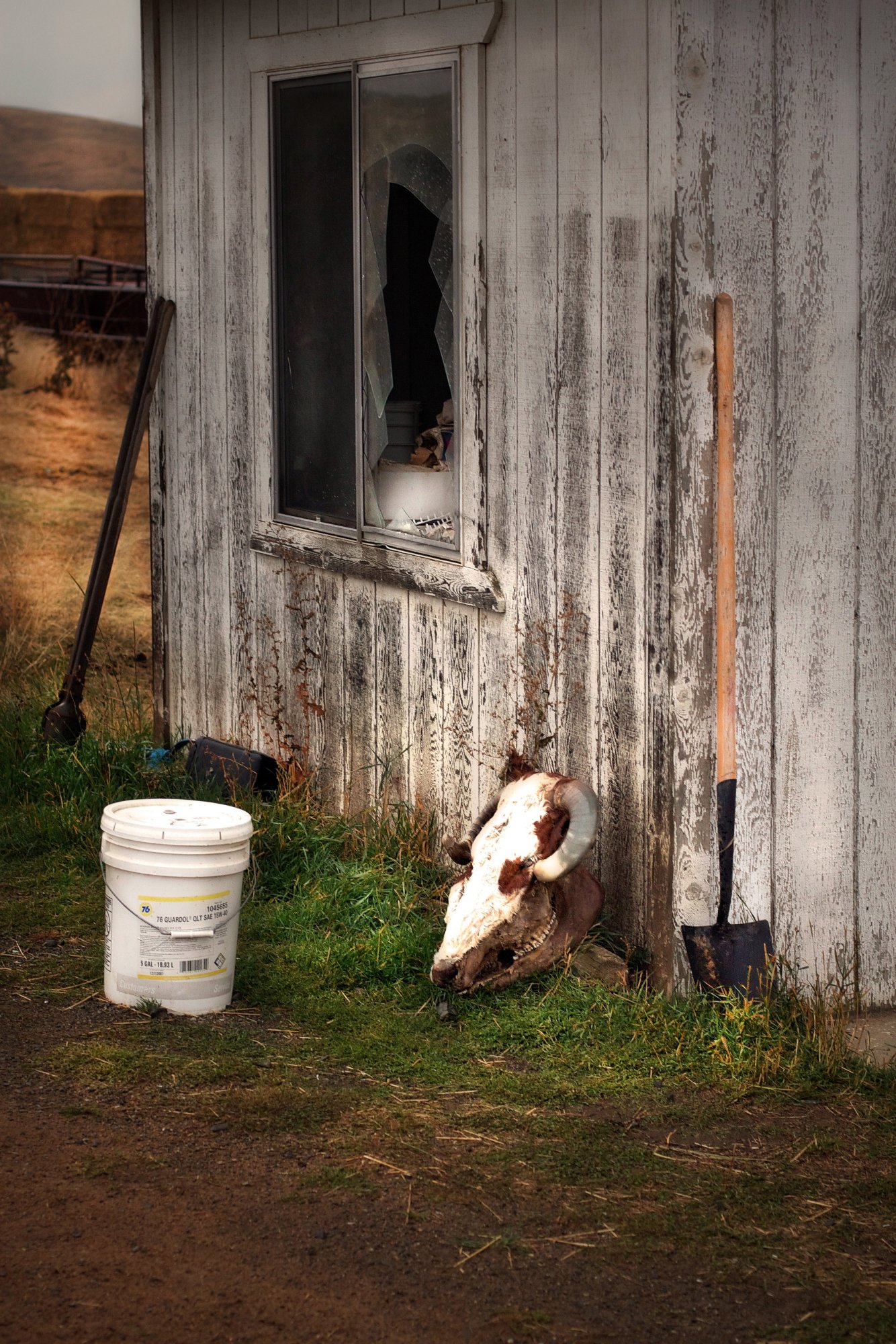 barn - 1.jpeg