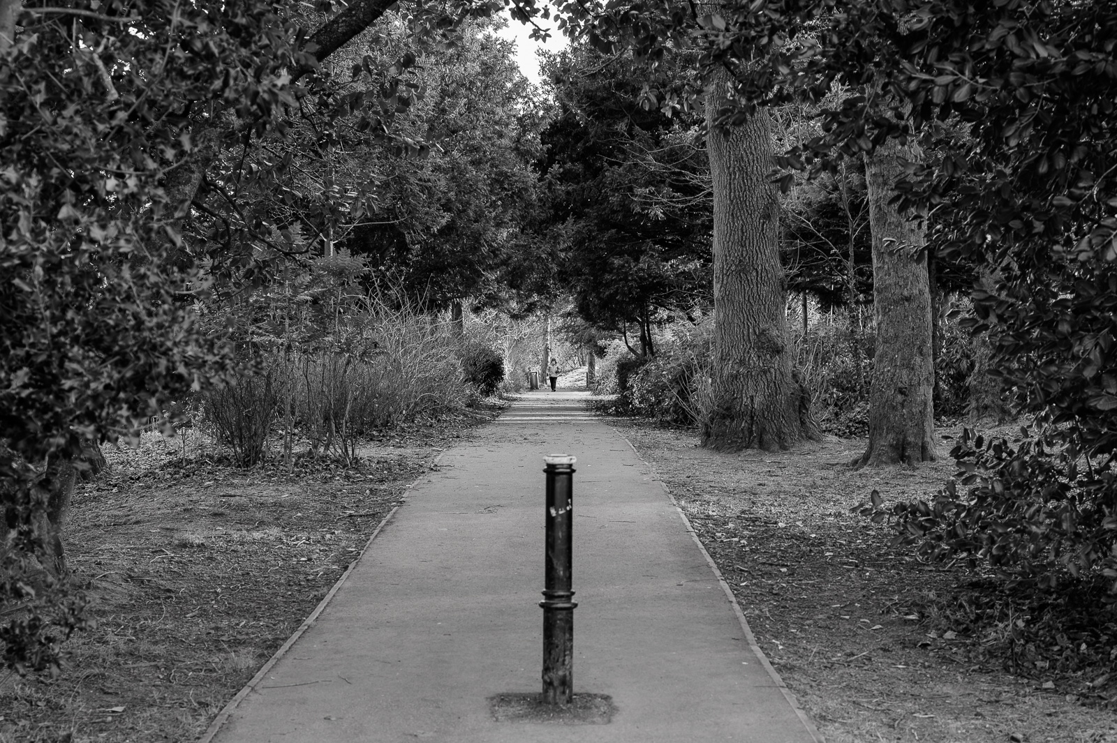 BarshawPark20250109-4.jpg