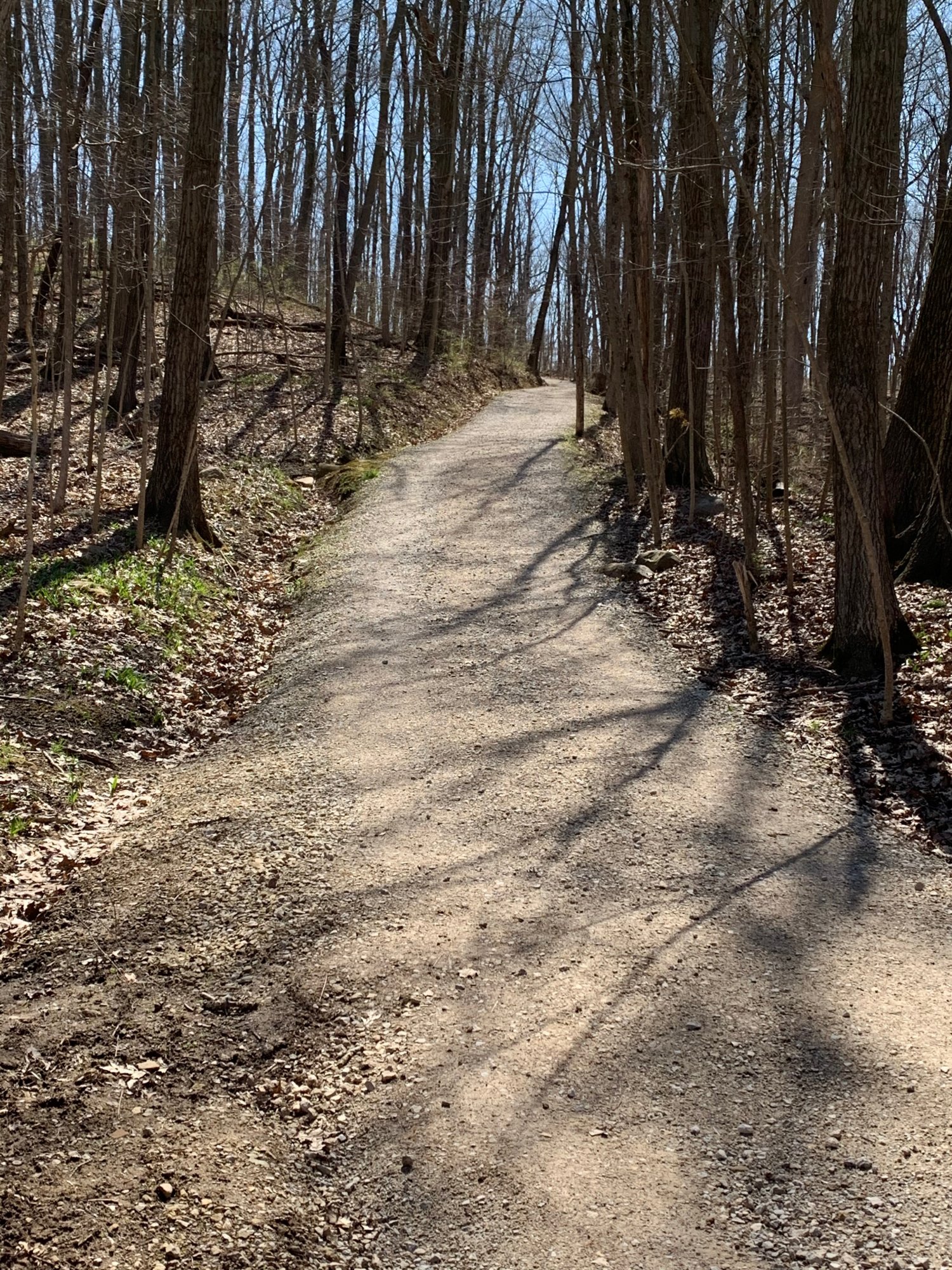 Battelle Darby Creek - Clockwise hill near bottom.jpeg