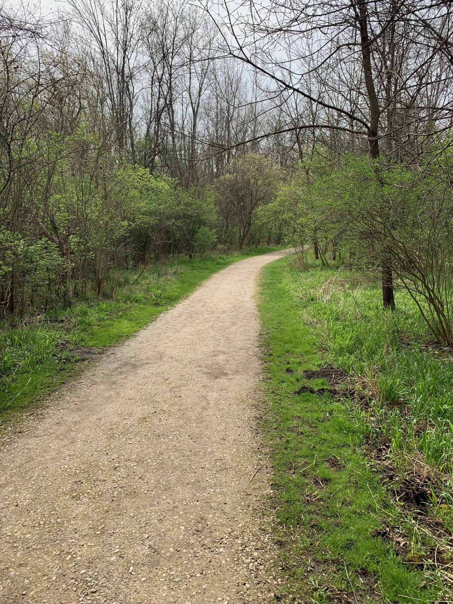 Battelle Darby Creek - Flat trail on Terrace Trail.jpeg