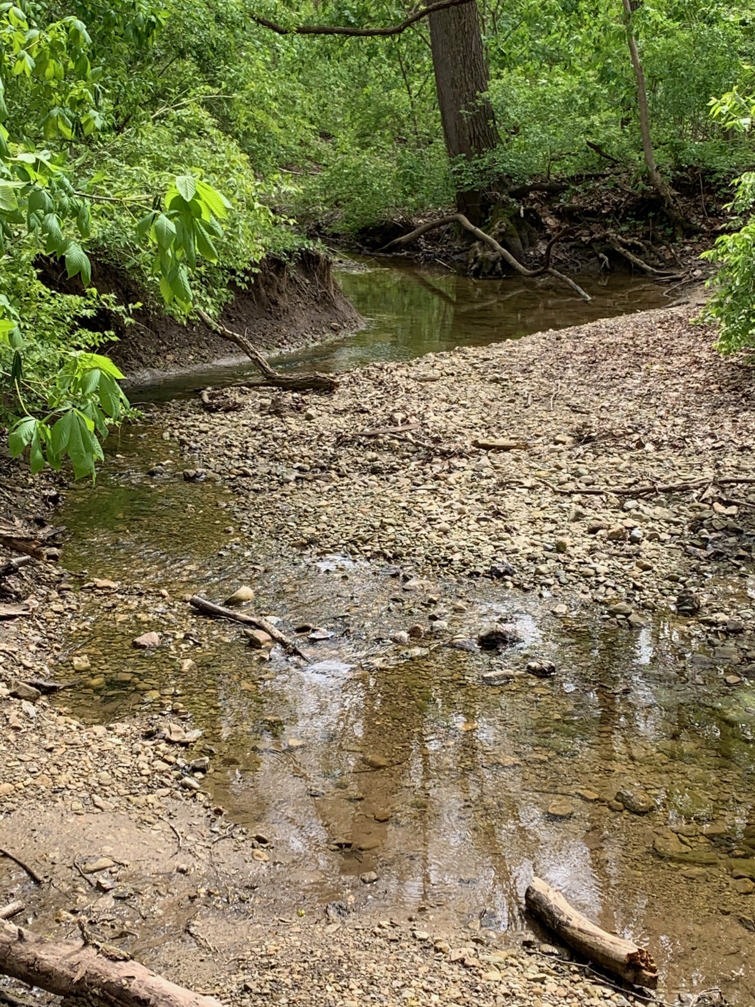 Battelle Darby Creek - Small creek at foot of hill.jpeg