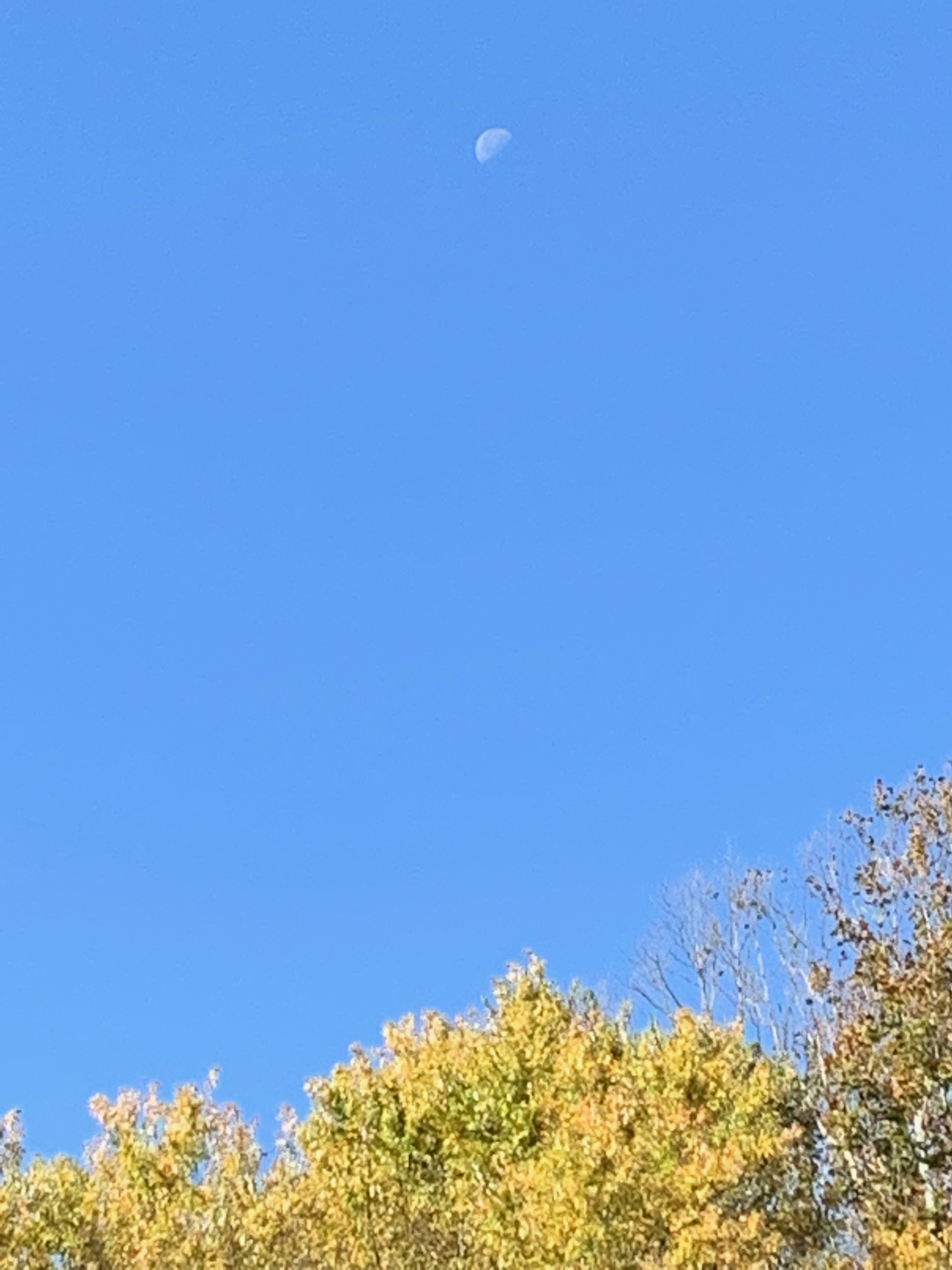 Battelle Darby - Moon in the sky.png