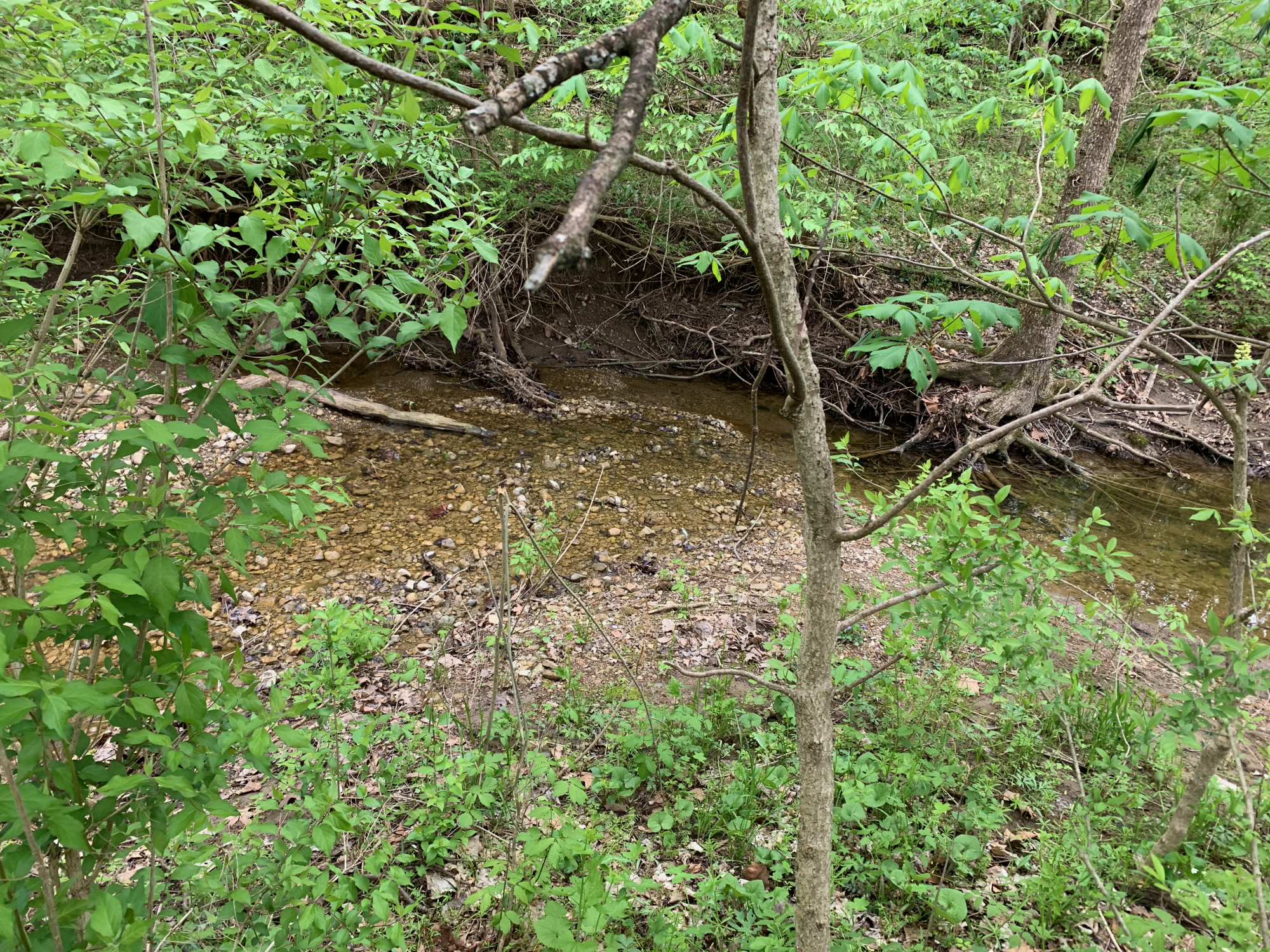 Battelle Darby - Small waterway near Chase Trail 2.png