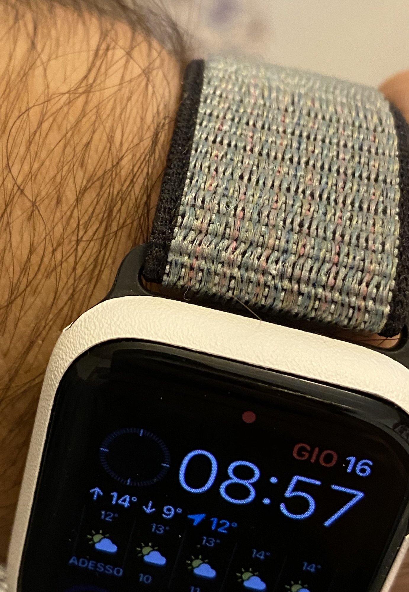 BCAC0896-DA06-434A-BC27-5000A67F1F85.jpeg