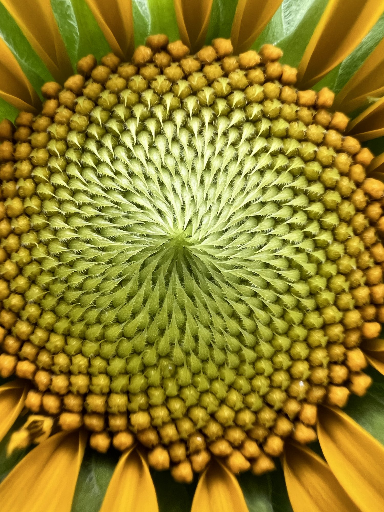 bdcda40a-5f4a-471c-8811-a4d4d0c9115a-jpeg.1874495