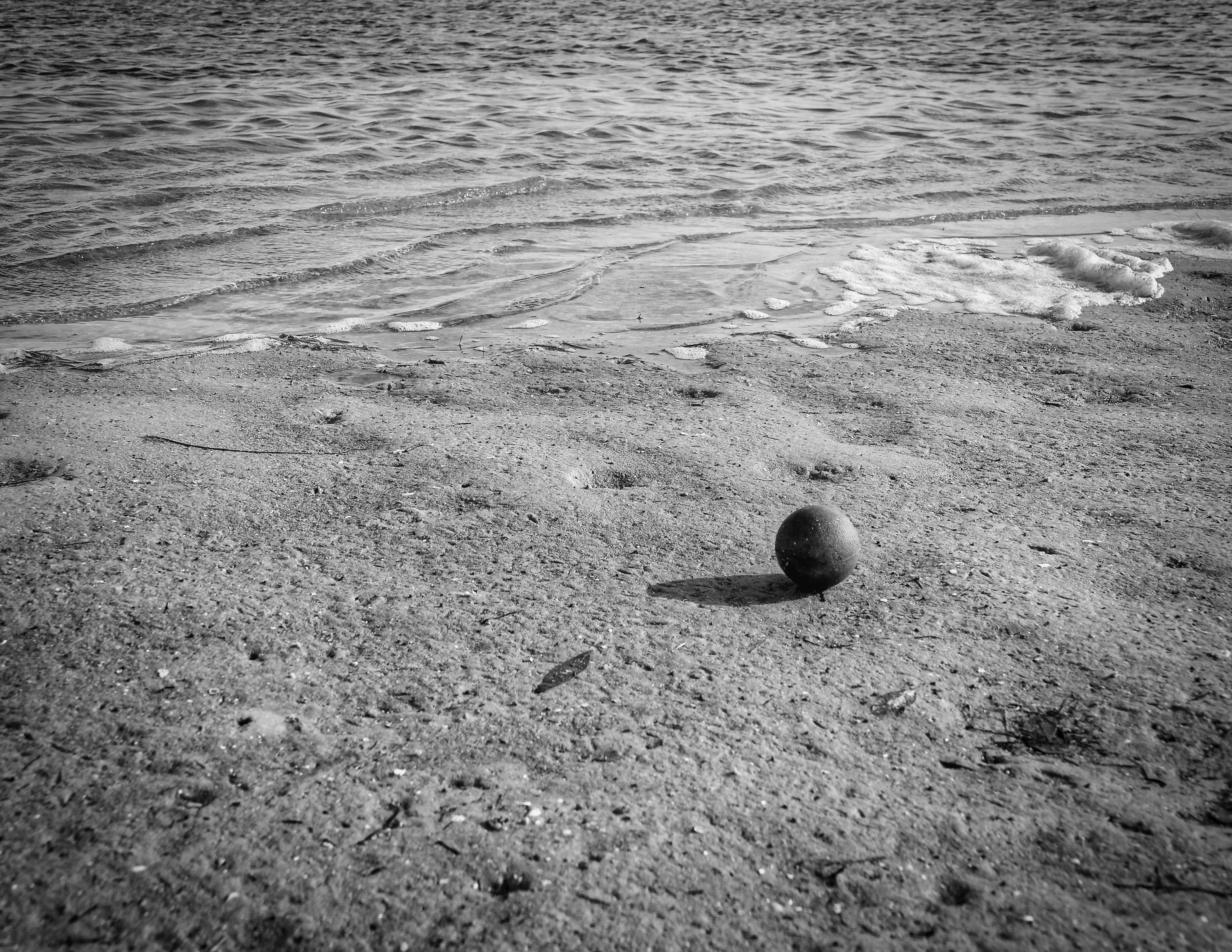 Beach Ball.jpeg