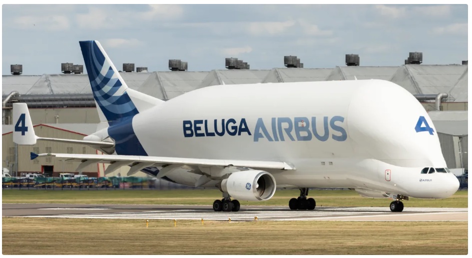 Beluga Airbus.jpg