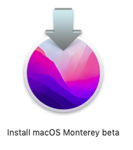 beta 2 icon.png