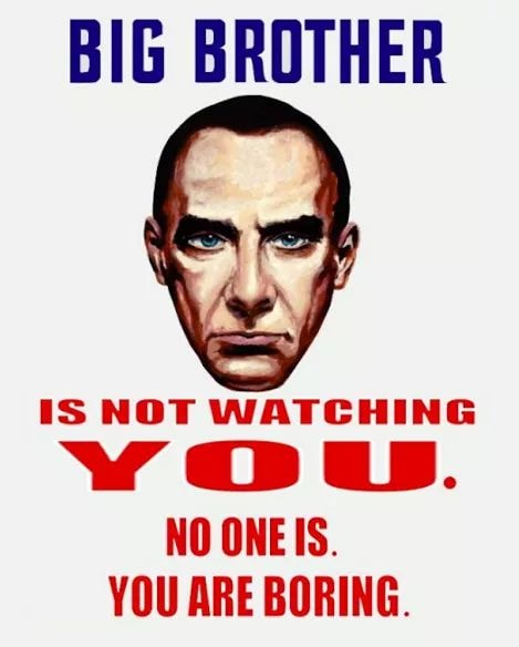 big brother is not watching you.jpg