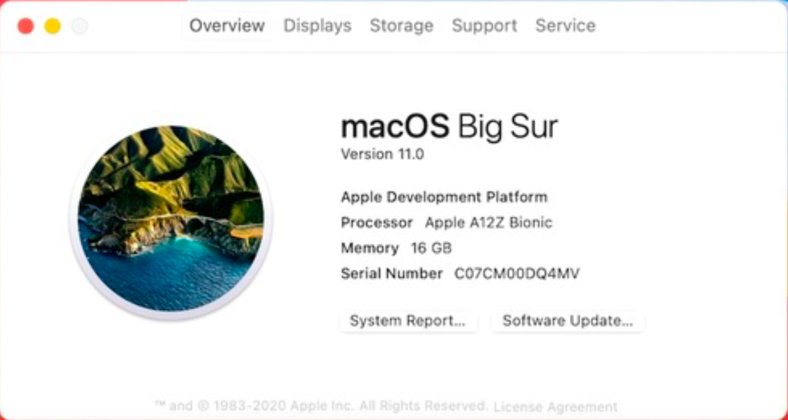 big sur 11.0.png