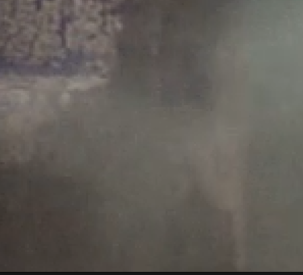 Bildschirmfoto 2025-11-17 um 05.29.03.png