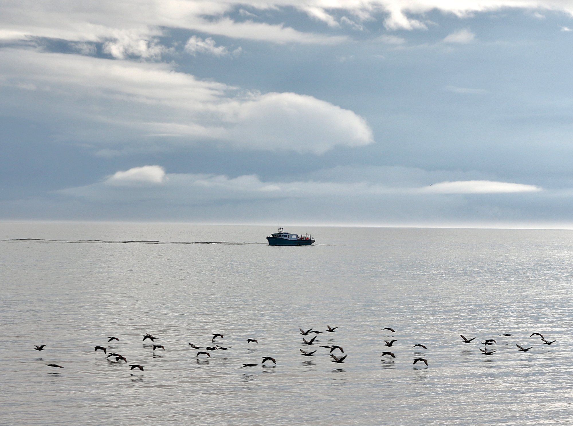 boat and birds Sept 21.JPG