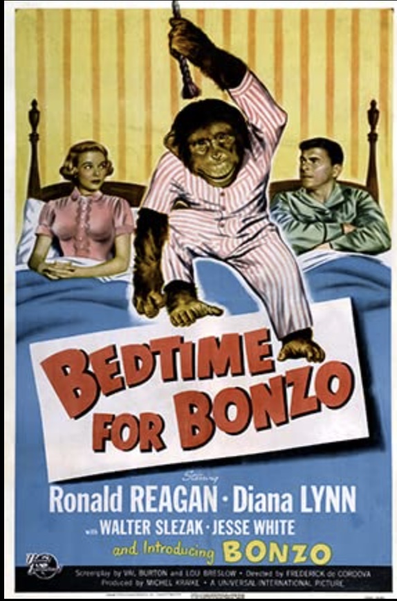 bonzo.jpg