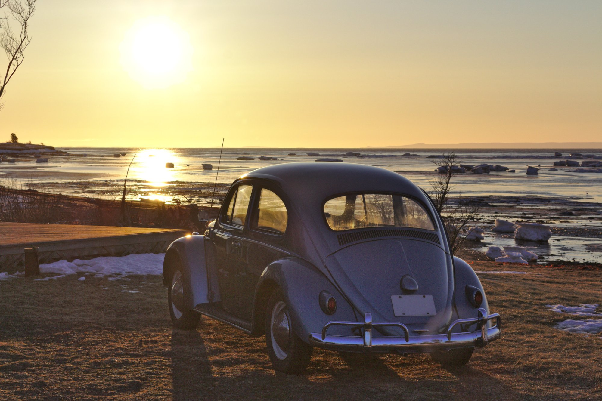Bug sunrise.jpg