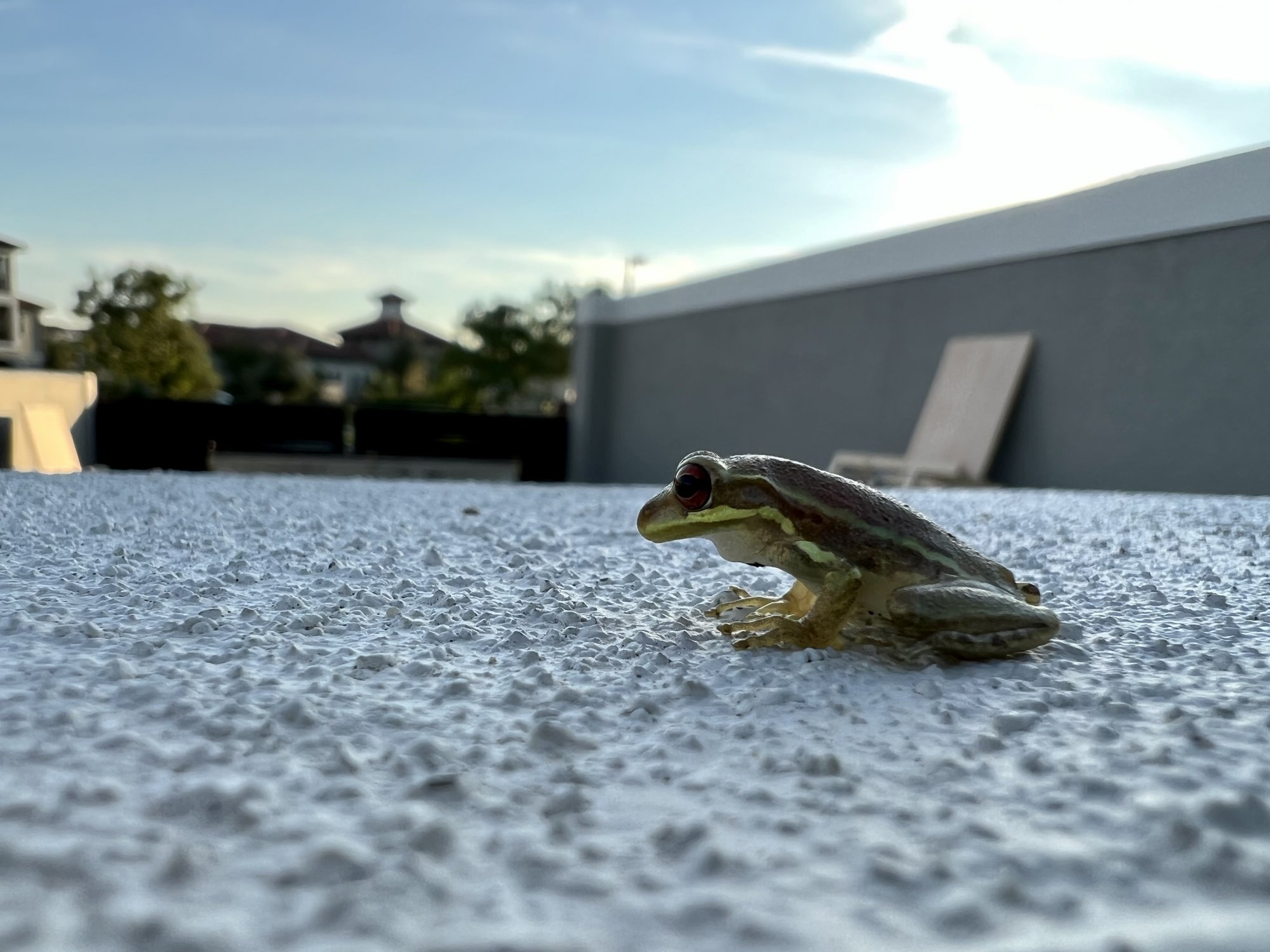 C0732004-F6A6-4497-825B-A33A29686177.jpeg