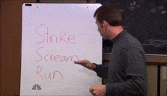 C3CC9AD4-75D8-443E-8C22-61C05B6F3901.gif