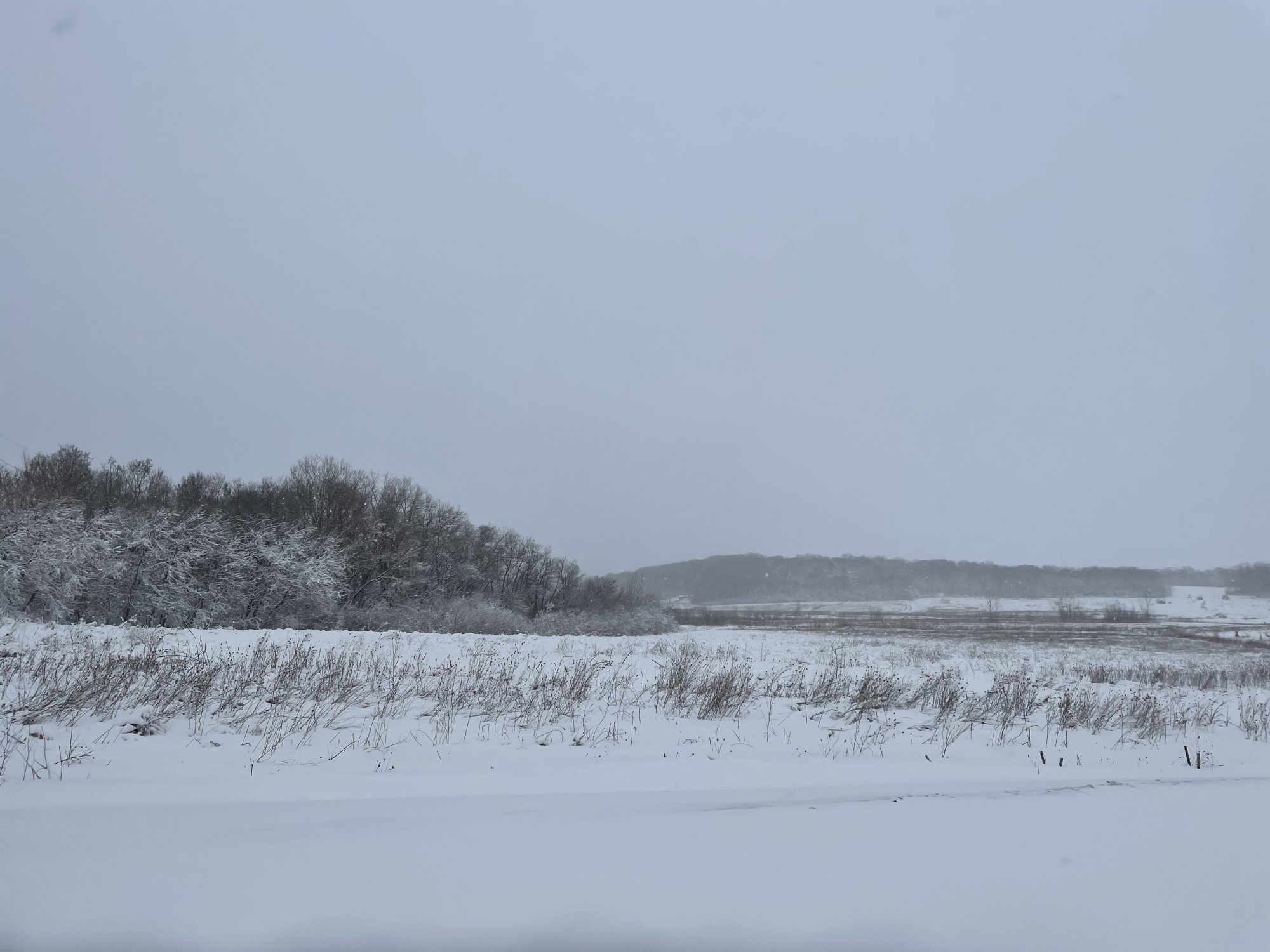 C46FF75F-F970-40C4-B2D4-46A6B423766D.jpeg