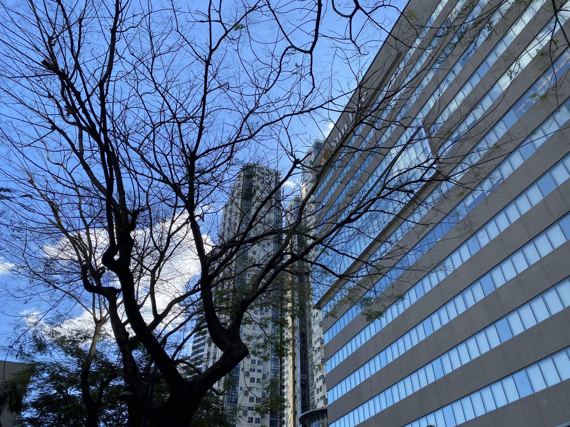 C47D1C7E-6B03-4E60-B794-824849D3312C.jpeg