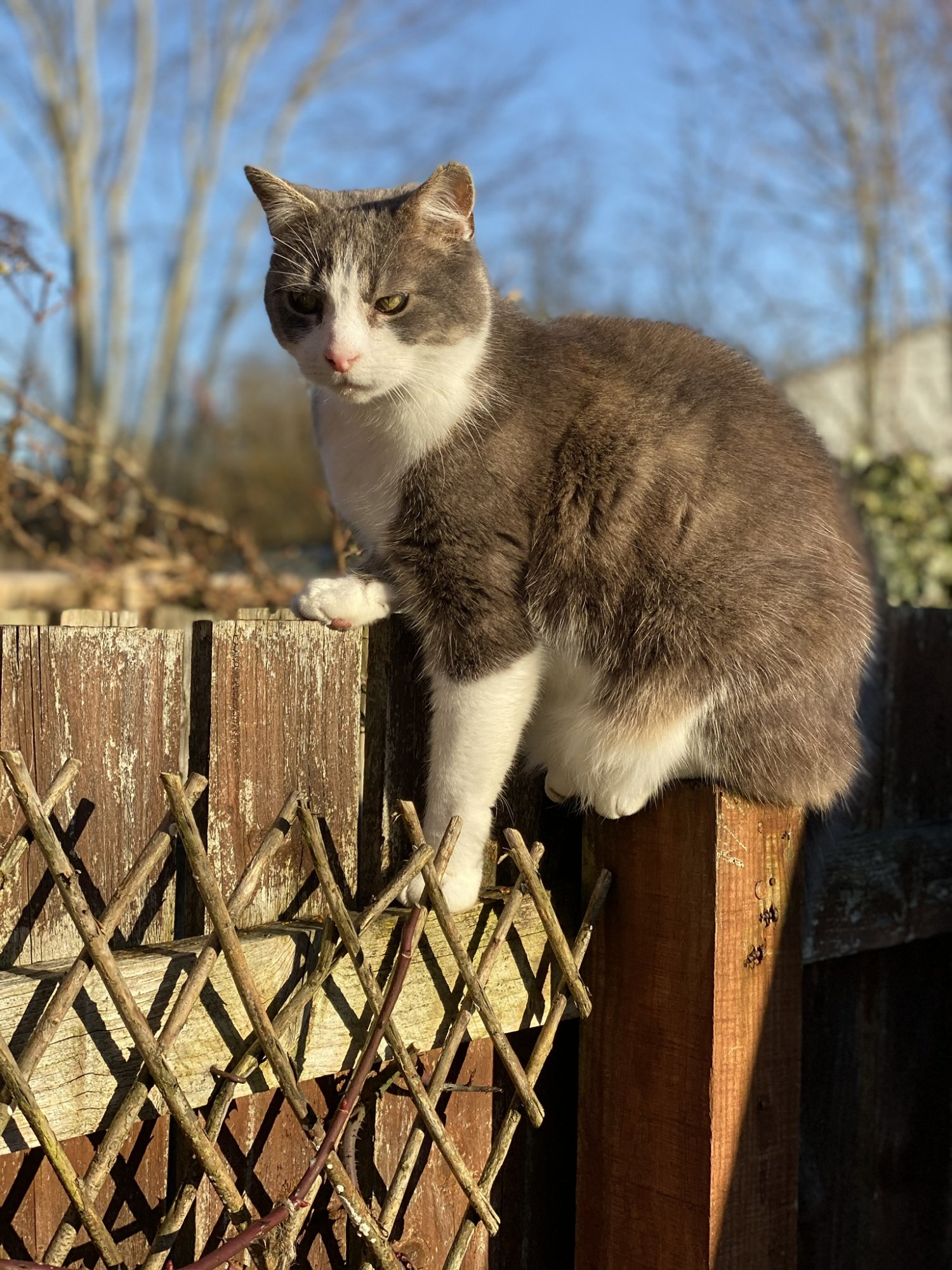 C6F9567B-CA9C-45FD-B1C4-B2669903964E.jpeg