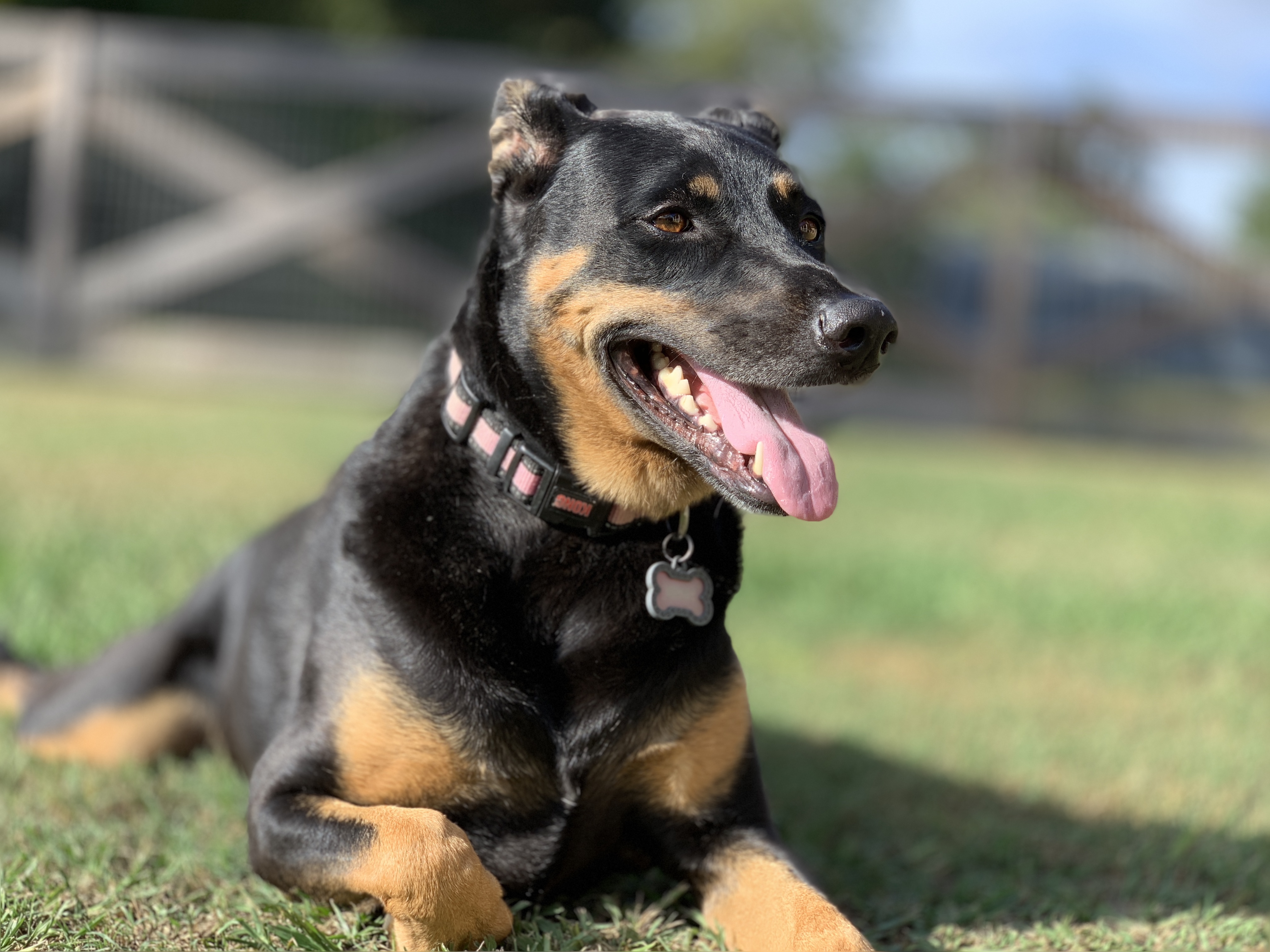 C7C33B55-E7E6-4EE7-860C-9DF04959ED59.jpeg