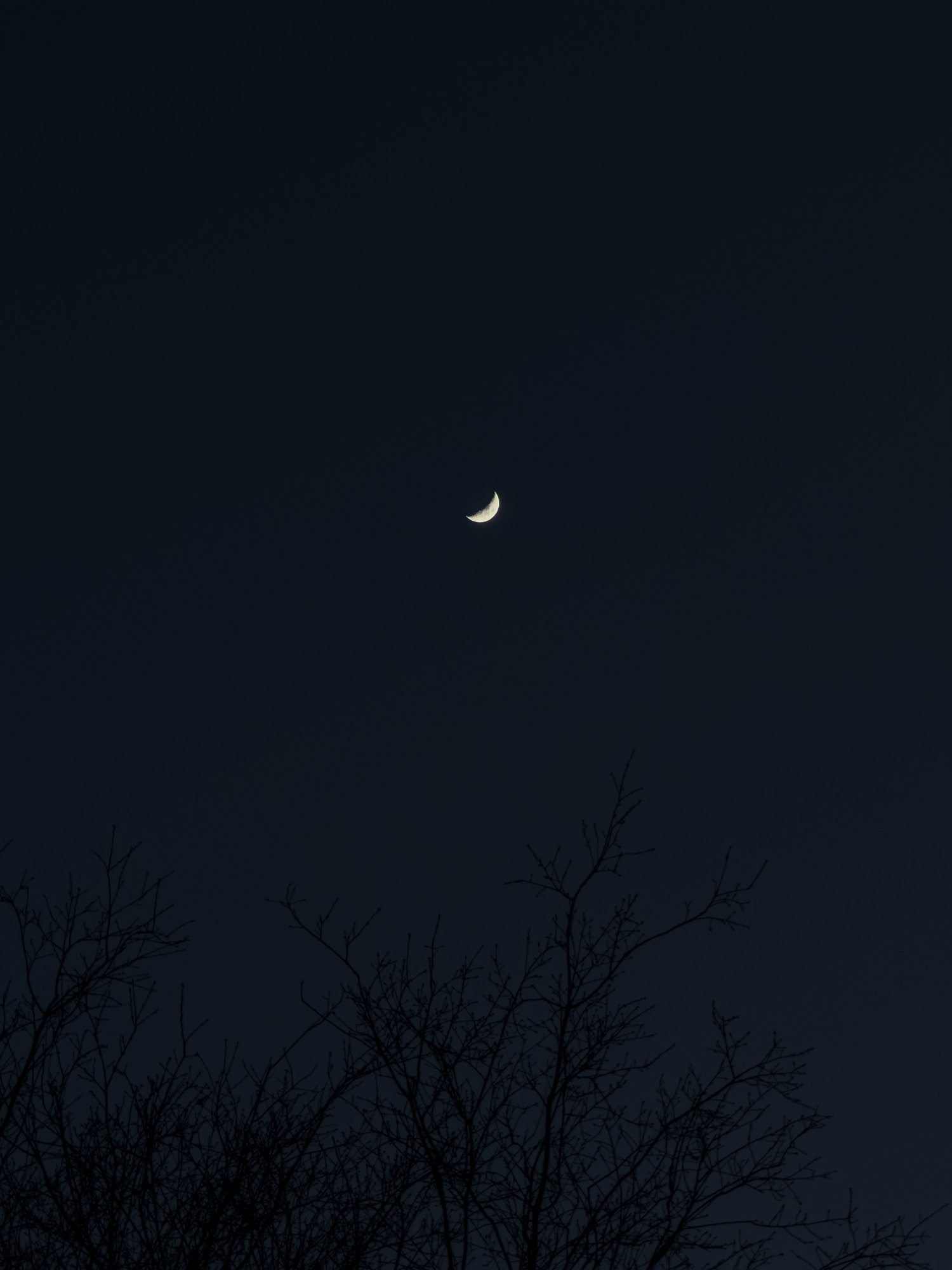 C97ABA71-419A-414C-B6BA-690B267A854C.jpeg