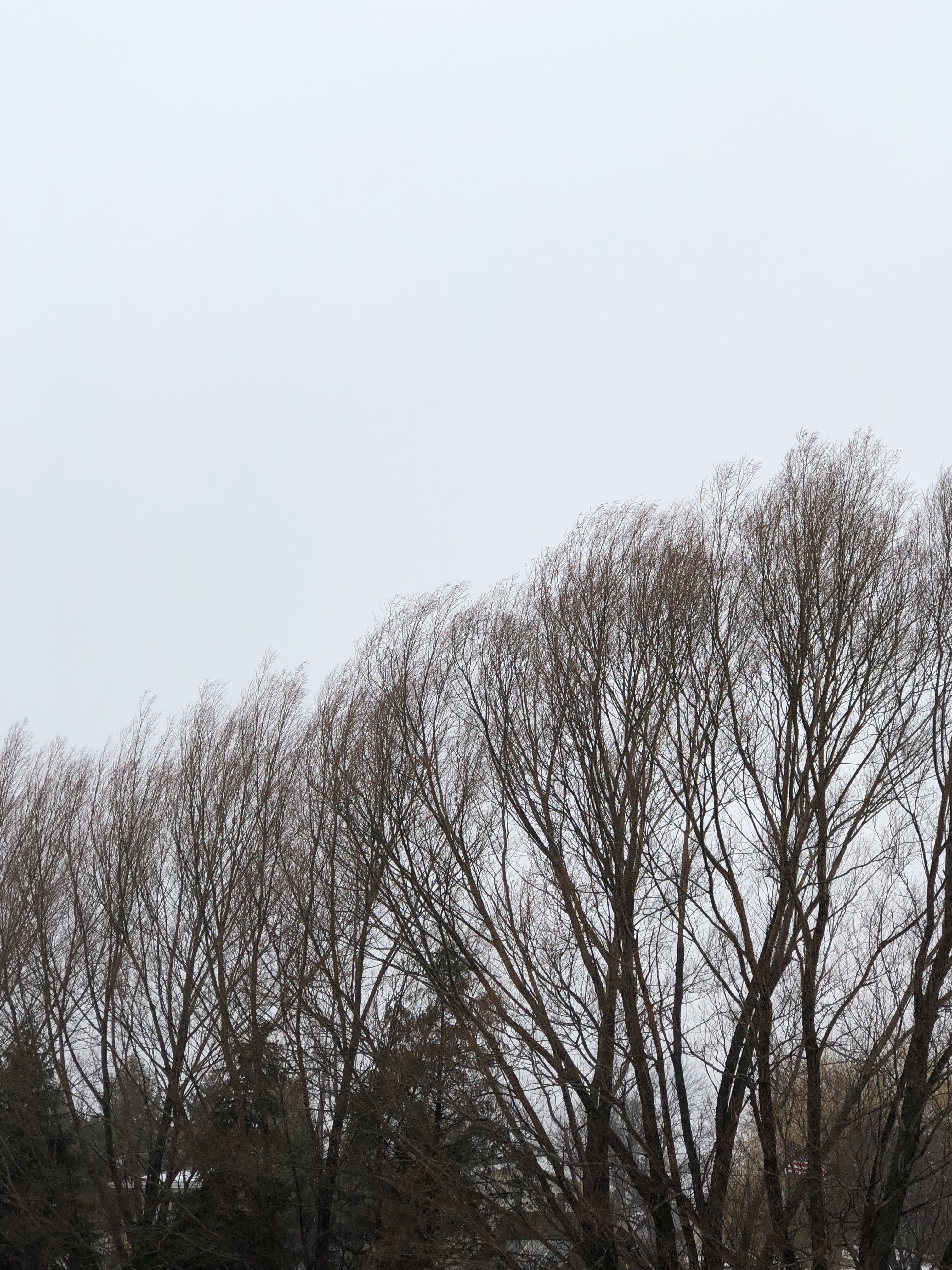 C97FA168-3C03-4767-AB99-2C7308B35317.jpeg