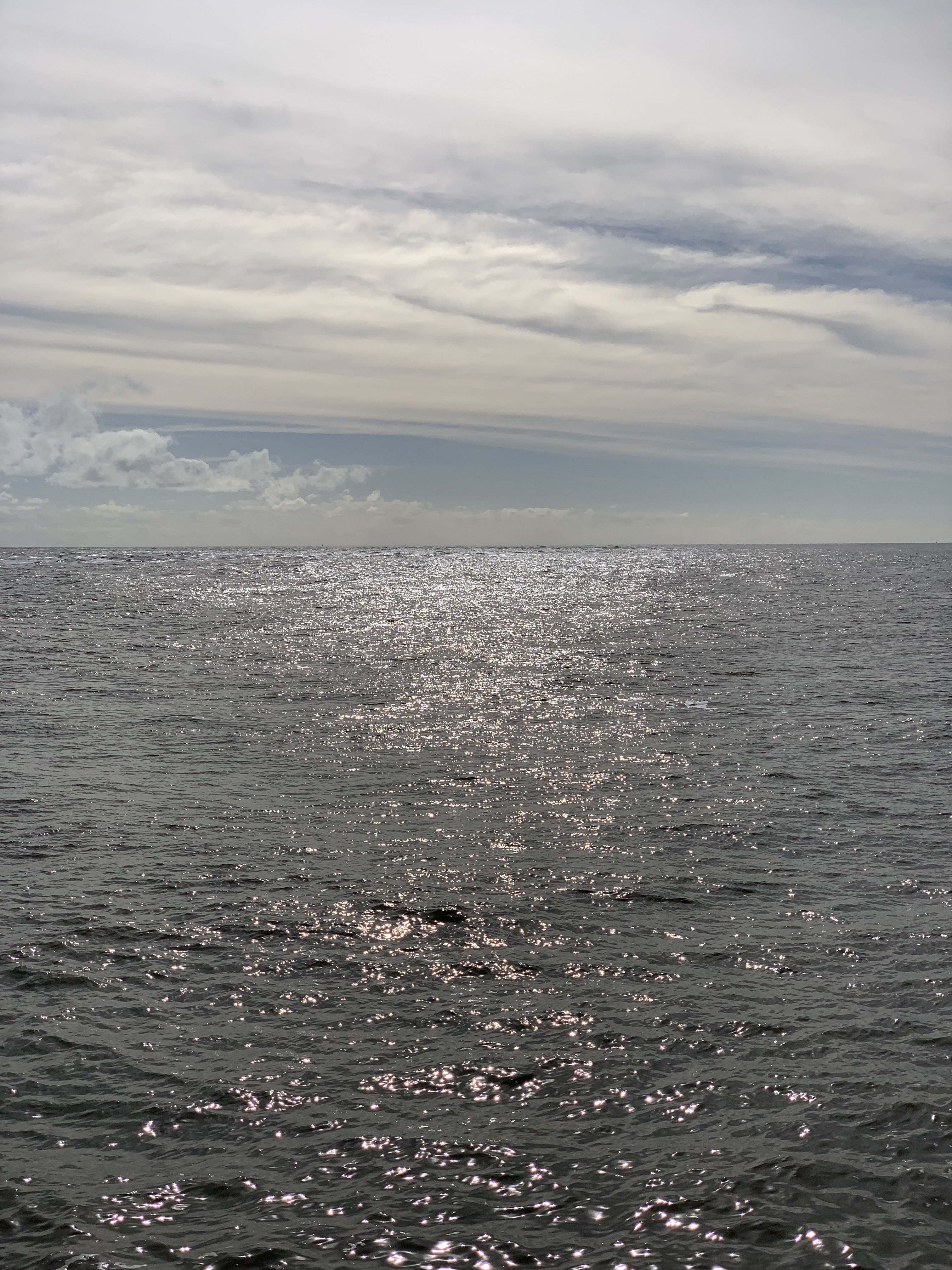 CA2E1D95-315B-468E-BBD6-ED3C311AD694.jpeg