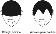 CA4EF35B-BD77-46F2-AD41-A9D629DA00DA.png