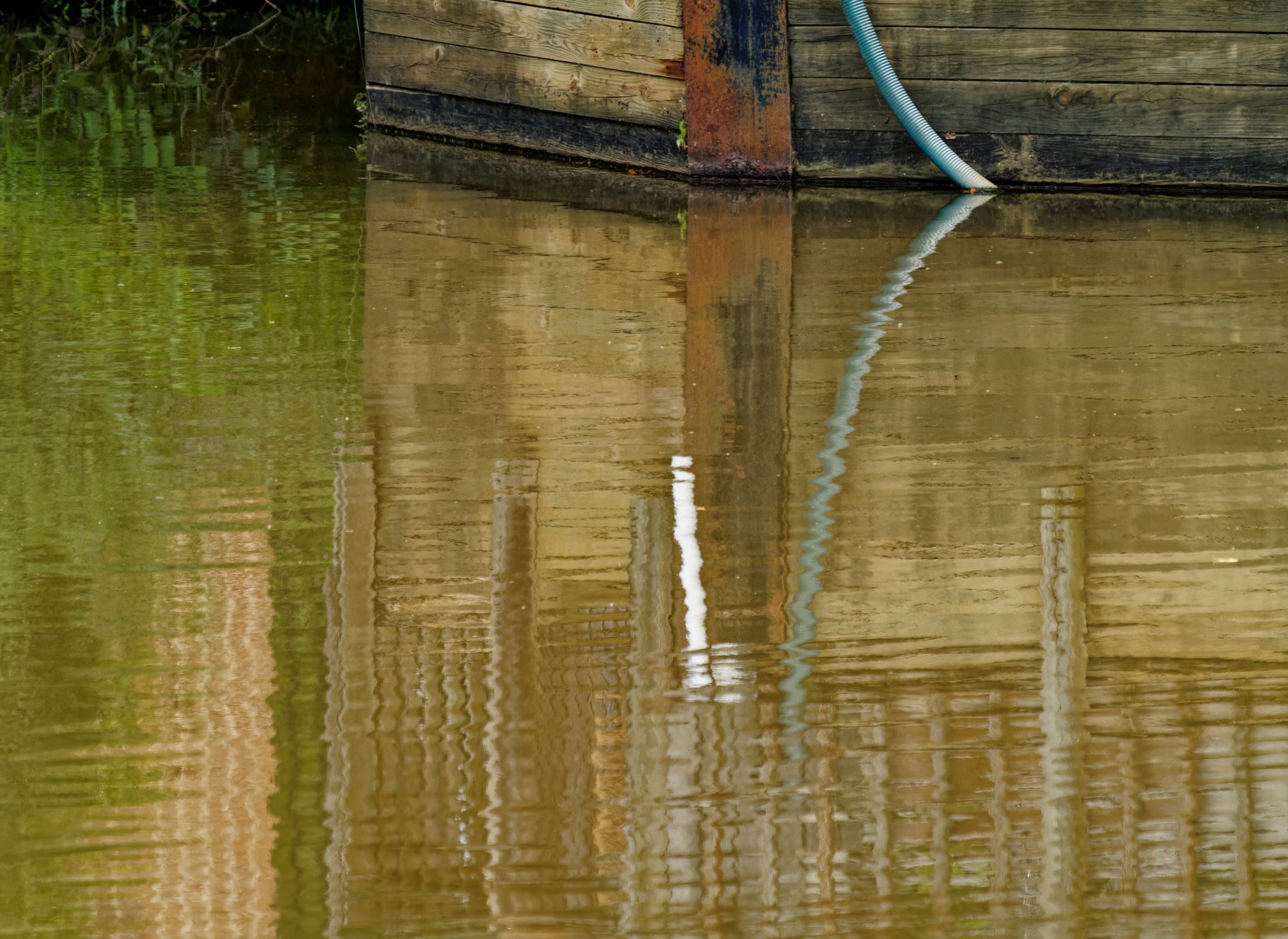 Calm Reflections.jpeg