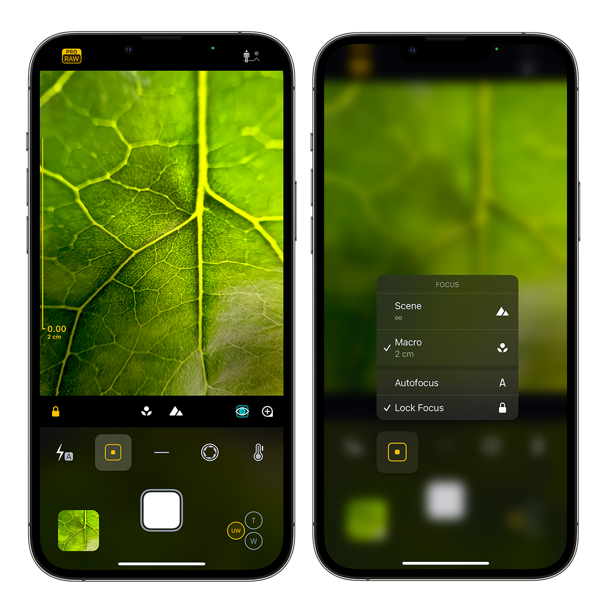 Camera M Version 5 Update with Macro and Manual Focus Camera M Version 5 Update with Macro and Manual Focus