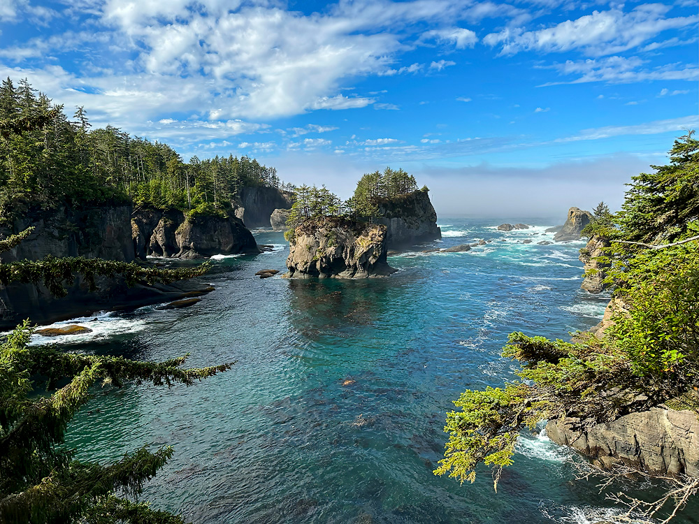 Cape_Flattery_Olympic_Peninsula_1000p_19.jpg