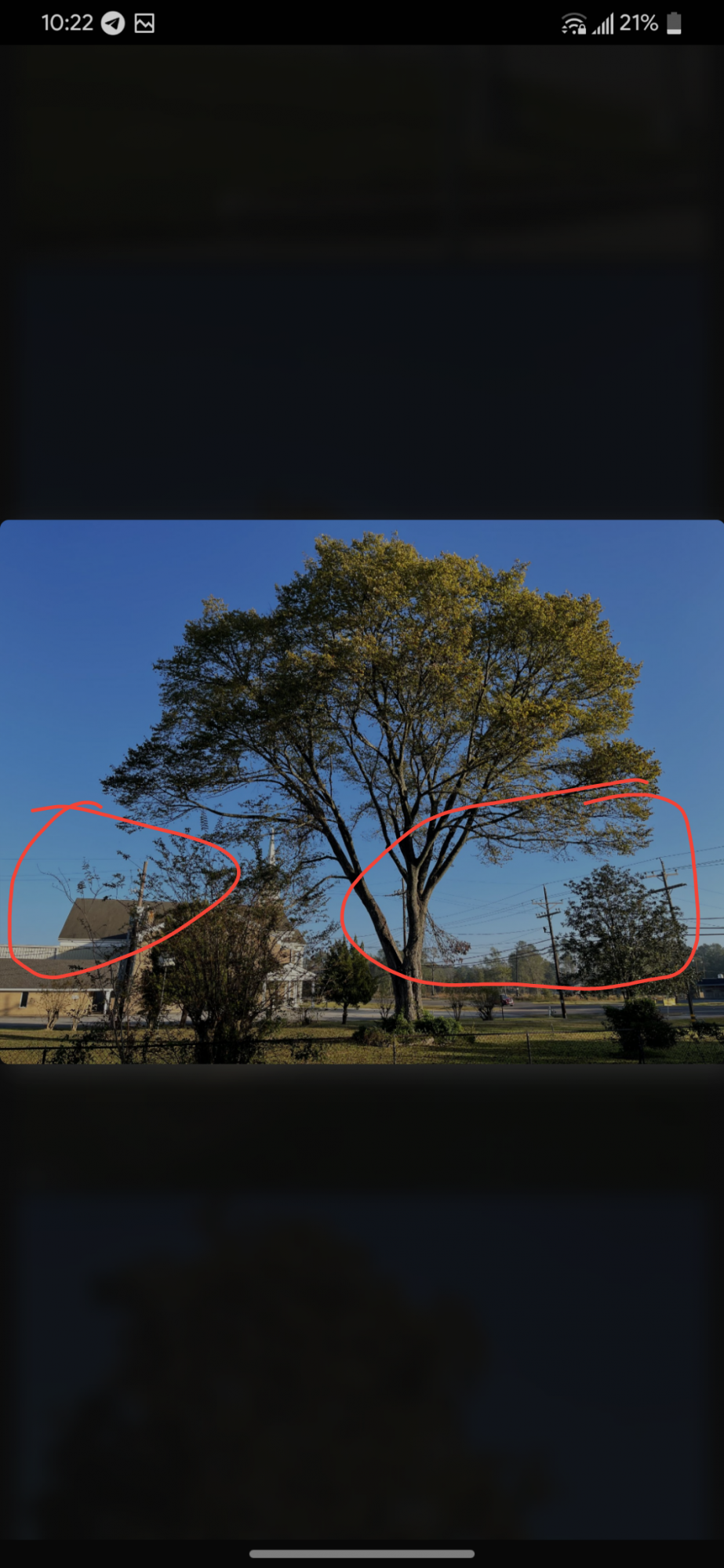 Capture+_2020-11-29-10-22-19.png