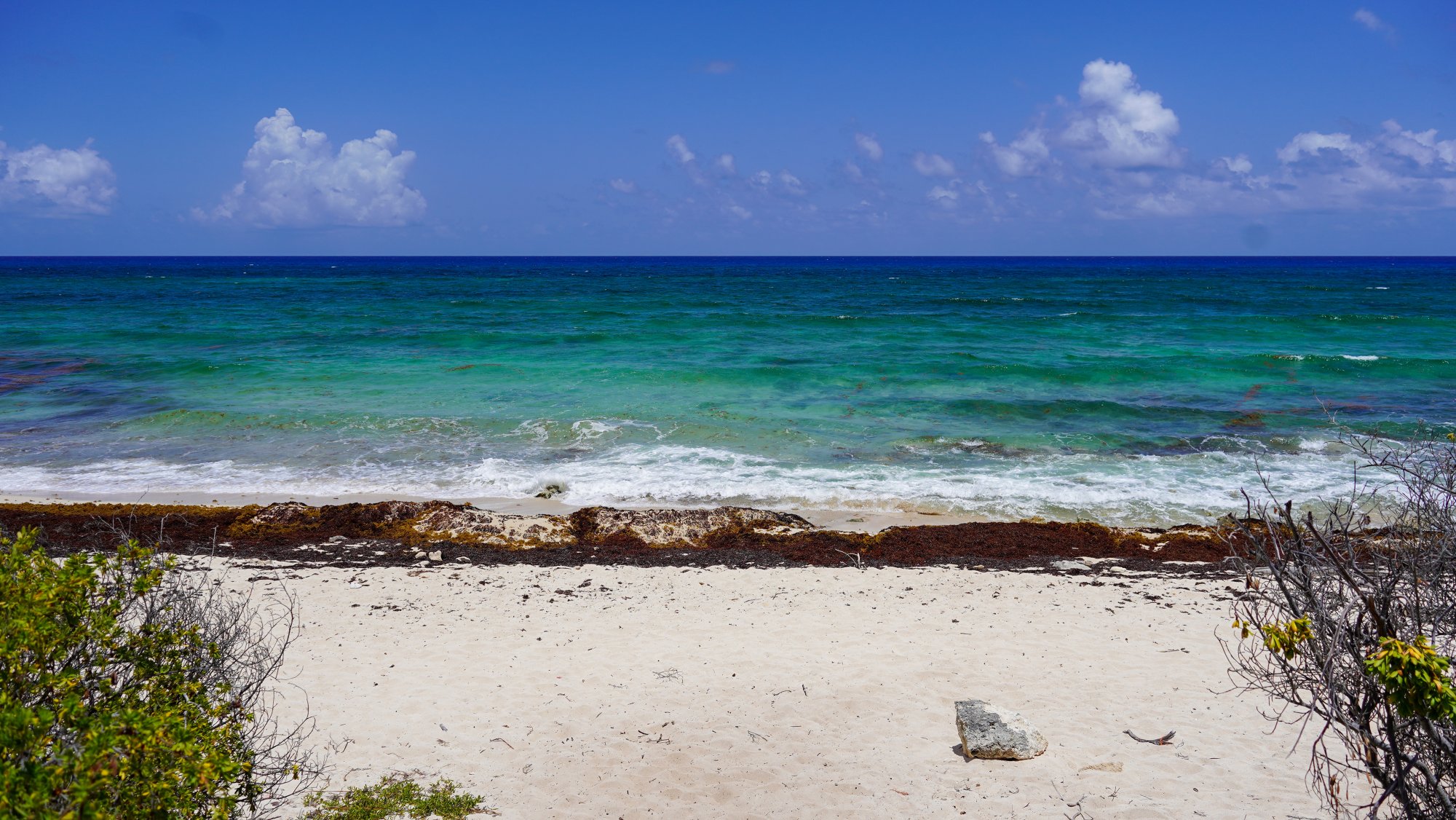 Caribbean.jpg