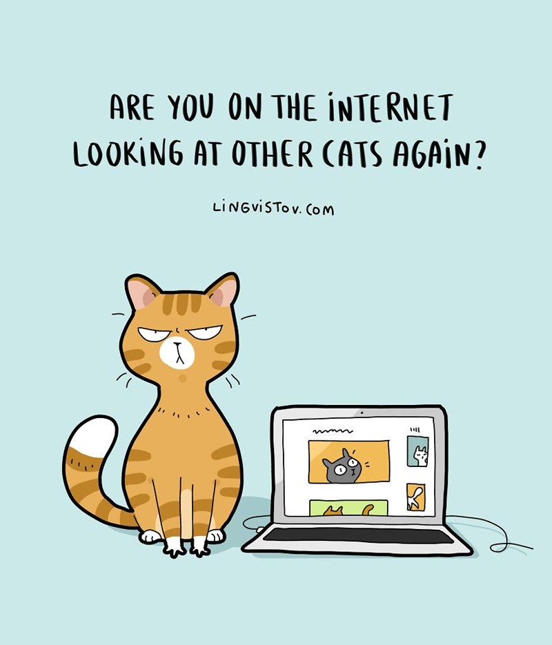 cartoon-are-you-on-the-internet-looking-at-other-cats-again-lingvistov-om-x.jpeg