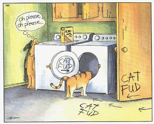 cat fud.jpg