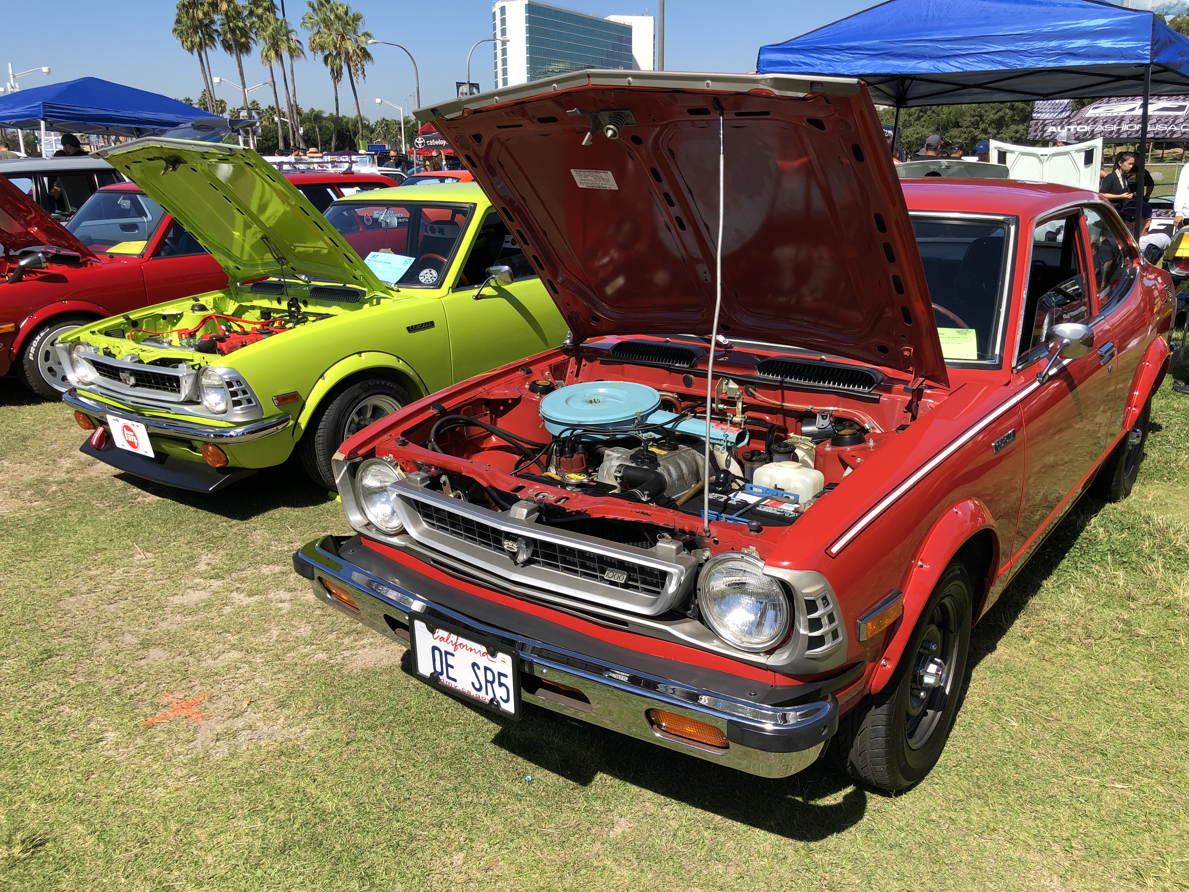 CBCBC5E4-A743-4E28-8CF2-4555F178180D.jpeg