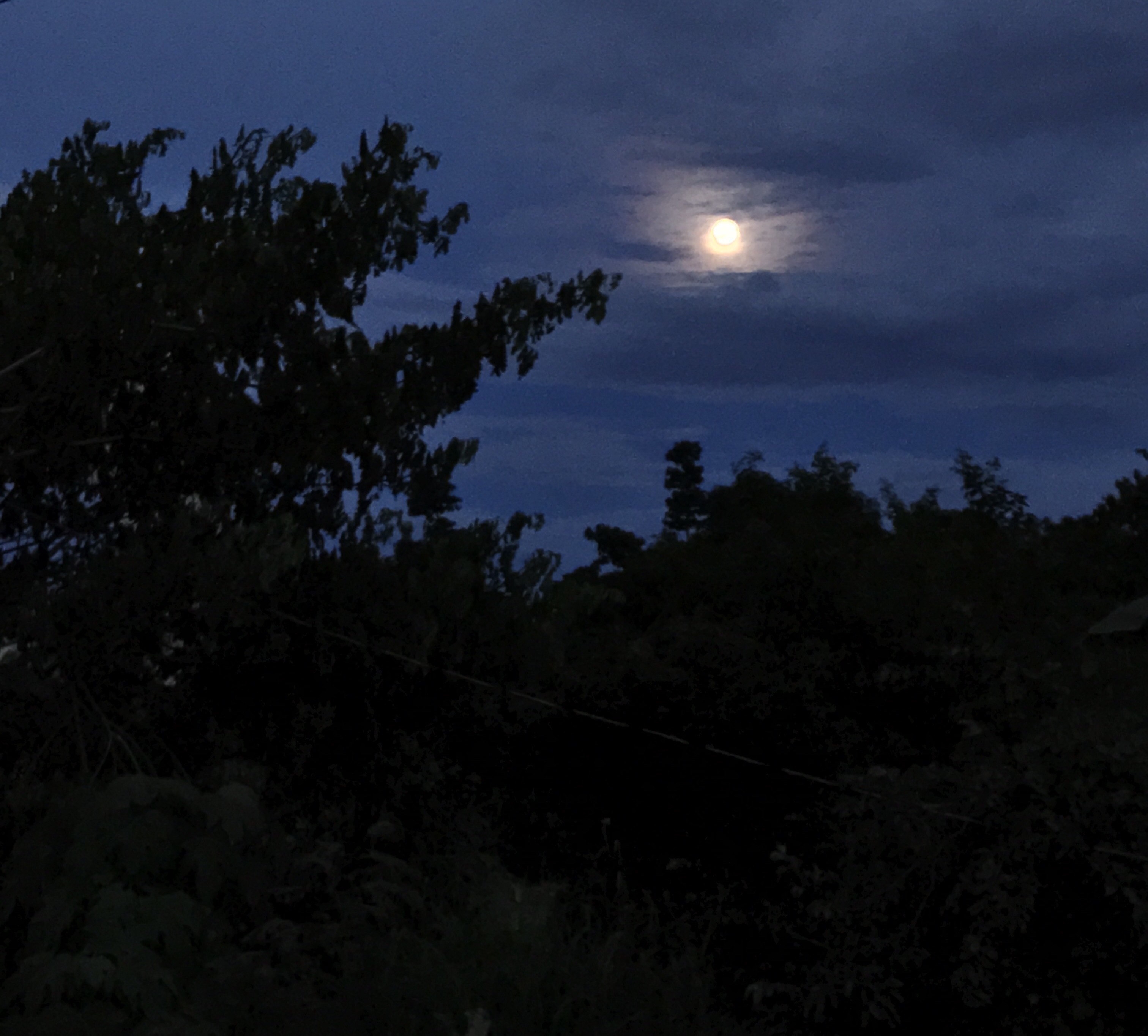 CDD90017-1875-49EA-83ED-9B56717DA45D.jpeg