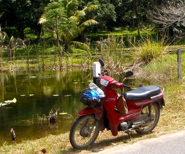 Clear pond nr White Sand Beach.jpg