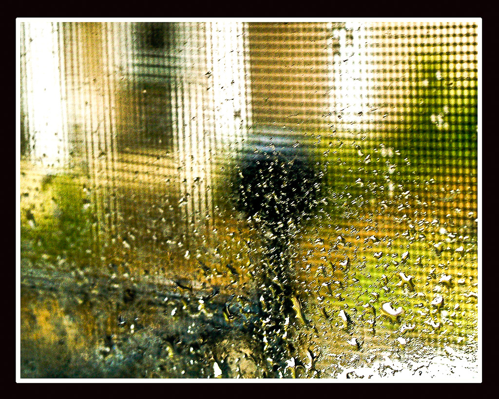 clingingraindrops.jpg