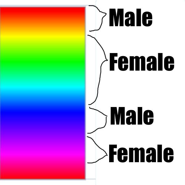 Color Guide.png