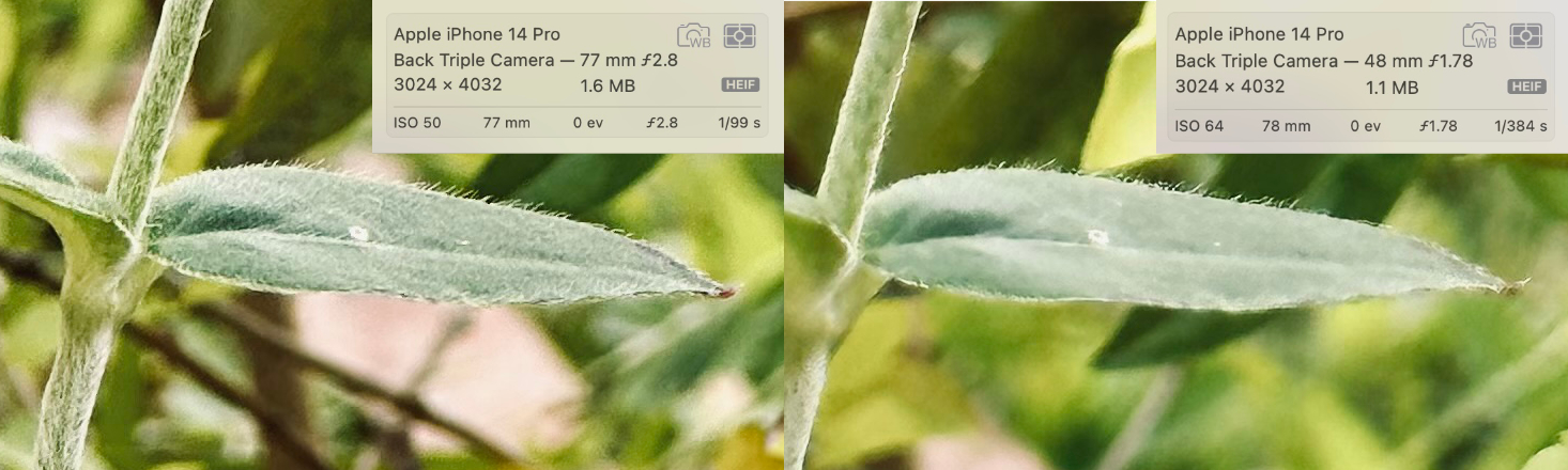 comparison B.jpg